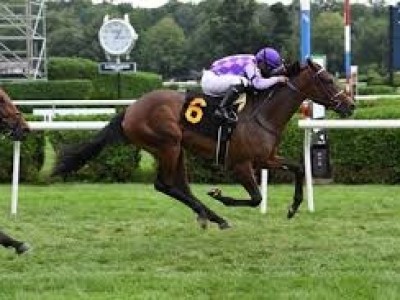 Preview: US$1 million Breeders' Cup Juvenile Fillies Turf Image 2